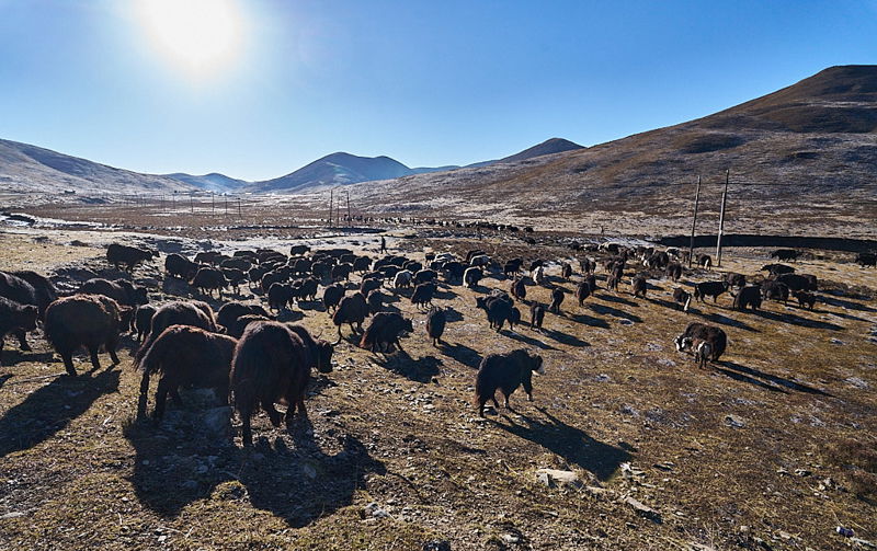 Fotoreis China, langs het Tibetaans plateau - ©Charles Borsboom