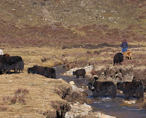 Fotoreis China, langs het Tibetaans plateau - ©Charles Borsboom