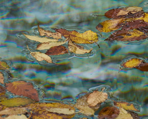 Fotoreis China, langs het Tibetaans plateau - ©Charles Borsboom