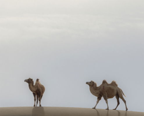Fotoreis Langs het Tibetaans plateau - China - ©Martin van Buijtene
