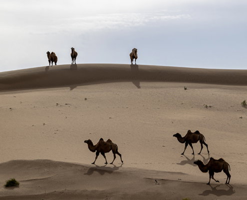 Fotoreis Langs het Tibetaans plateau - China - ©Ton Verweij