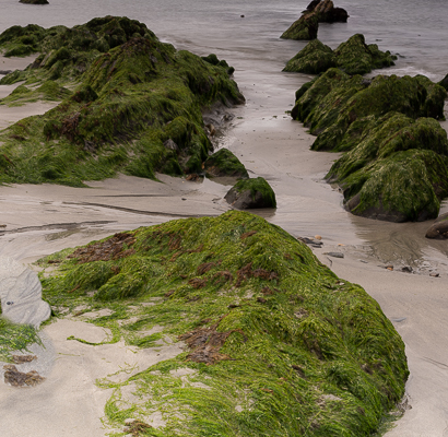 Fotoreis Shetland Eilanden Schotland - ©Wouter Storteboom