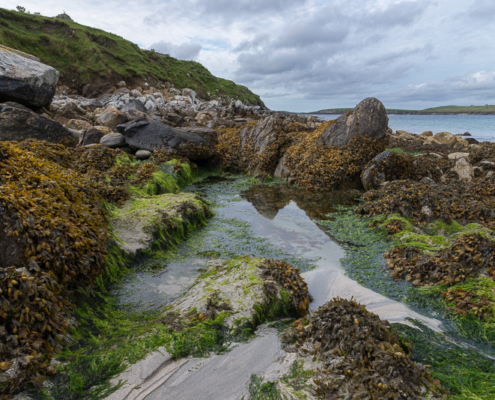 Fotoreis Shetland Eilanden Schotland - ©Mieke Haesebrouck