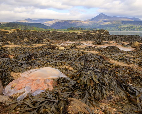 Fotoreis Isle of Arran - Schotland - ©Miranda Klijn