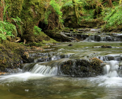 Fotoreis Isle of Arran - Schotland - ©Miranda Klijn