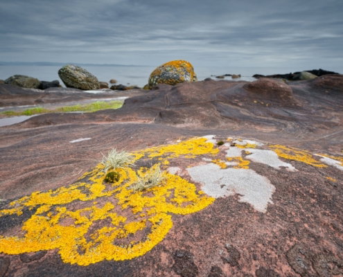 Fotoreis Isle of Arran - ©Job Klijnstra