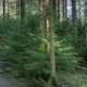 Fotoreis Isle of Arran - ©Ageeth Groen