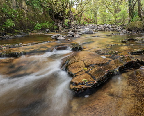 Fotoreis Isle of Arran - ©Ageeth Groen