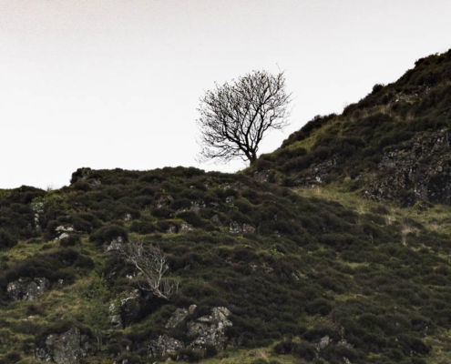 Fotoreis Isle of Arran - Schotland - ©Marcia Meert