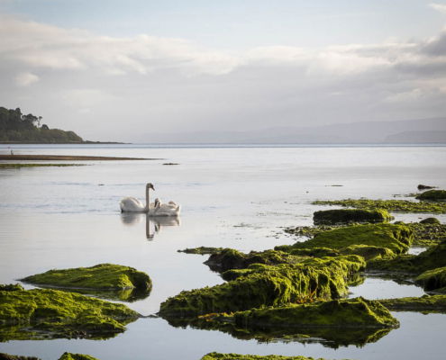 Fotoreis Isle of Arran - Schotland - ©Marcia Meert
