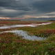 ©Addie Lanting - fotoworkshop Midweek Texel