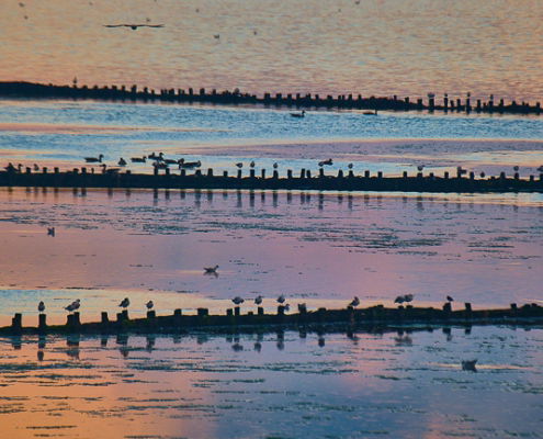 Fotoworkshop Texel - ©Charles Borsboom