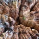 Fotoworkshop Texel - ©Charles Borsboom