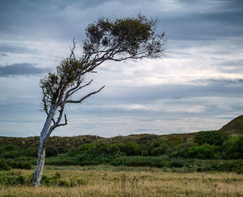 Fotoworkshop Texel - ©Charles Borsboom