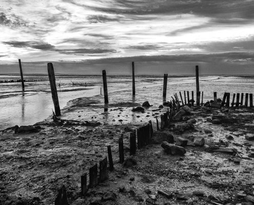 Fotoworkshop Texel - ©Charles Borsboom