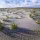 ©Sietske Ebus - fotoworkshop Midweek Texel