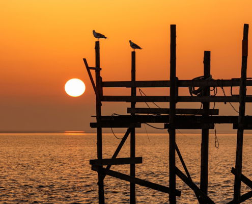 fotoworkshop Midweek Texel - ©Peter van Loenhout