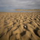fotoworkshop Midweek Texel - ©Angelina Carol
