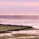 fotoworkshop Midweek Texel - ©Marion Henckens