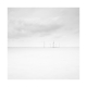 ©Anet - Fotoworkshop Seascapes & Cityscapes in Nederland