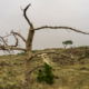 Fotoworkshop Stories from the island - ©Joke Vollebregt