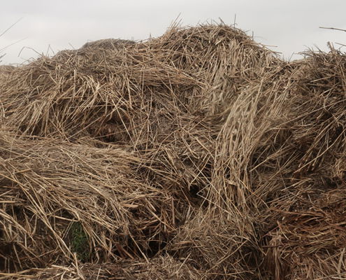 Fotoworkshop Stories from the island - ©Aleida van Dijk