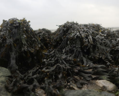 Fotoworkshop Stories from the island - ©Aleida van Dijk