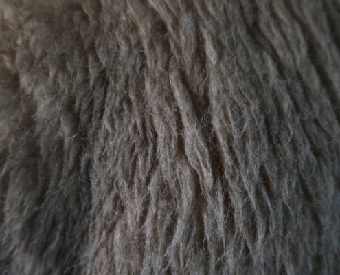 Fotoworkshop Stories from the island - ©Aleida van Dijk