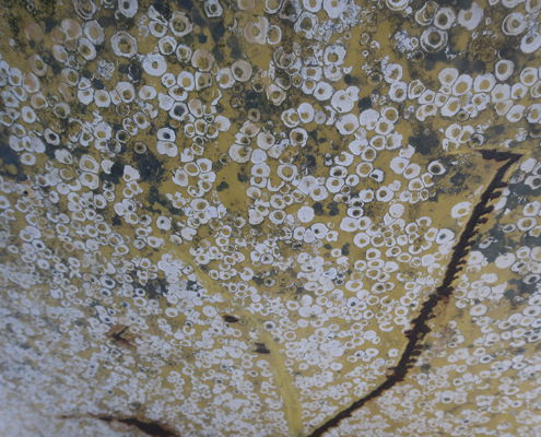 Fotoworkshop Stories from the island - ©Aleida van Dijk