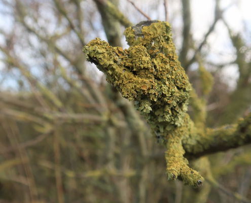 Fotoworkshop Stories from the island - ©Aleida van Dijk