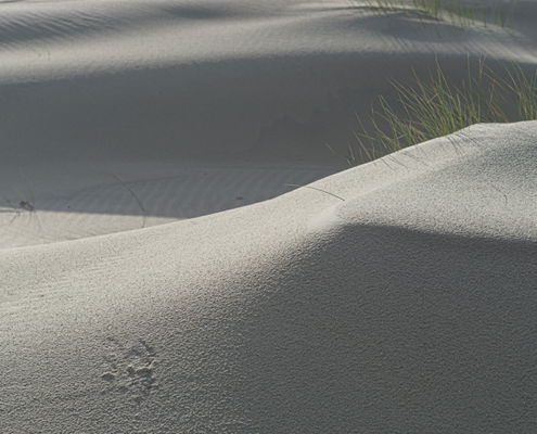 Fotoworkshop Stories from the island - ©Mischa Corsius