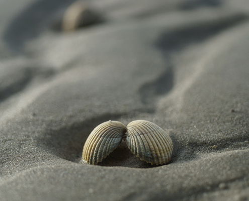 Fotoworkshop Stories from the island - ©Mischa Corsius