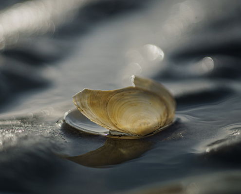 Fotoworkshop Stories from the island - ©Mischa Corsius