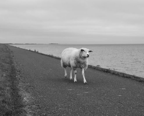 Fotoworkshop Stories from the island - ©Ruud Ubbink