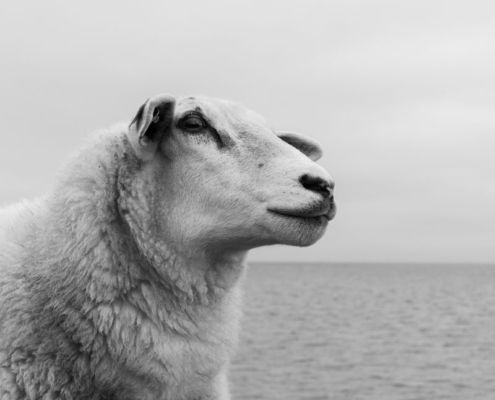 Fotoworkshop Stories from the island - ©Ruud Ubbink