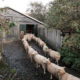 Fotoworkshop Stories from the island - ©Pam van Holthe tot Echten