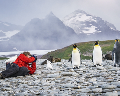 ©Oceanwide Expeditions - Dietmar Denger expeditie Antarctica South-Georgia & Falklands