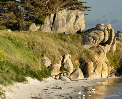 Fotoreis Bretagne - ©Kristel Schneider