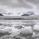 Fotoreis Spitsbergen - ©Ageeth Groen