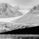 Fotoreis Spitsbergen - ©Jan Vermeer