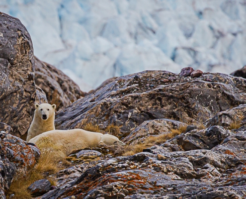 Fotoreis Spitsbergen - ©Monique de Veth