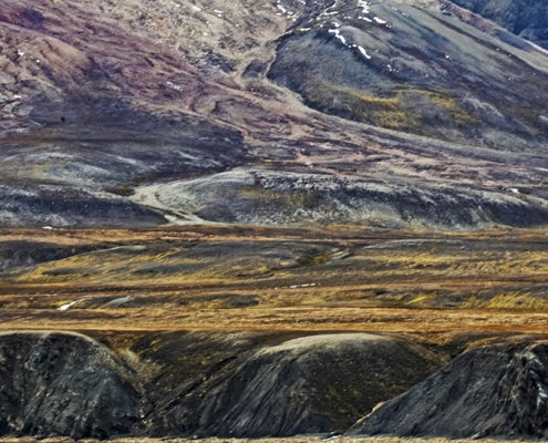 Fotoreis Spitsbergen - ©Jo Beunders