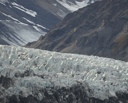 Fotoreis Spitsbergen - ©Wilma Rook