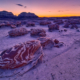 Fotoreis New Mexico - Verenigde Staten - ©Charles Borsboom