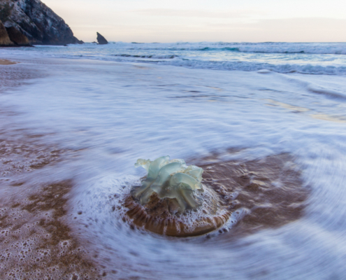 Fotoreis Sintra Seascapes Portugal - ©Theo Bosboom