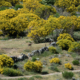 Fotoreis Sierra de Gredos - Spanje - ©Bart Siebelink