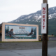 Roadtrip Alaska - Verenigde Staten - ©Jeroen Toirkens
