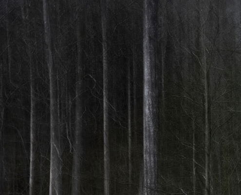 Fotoreis Bohuslan-Zweden - ©Marian van Hulst