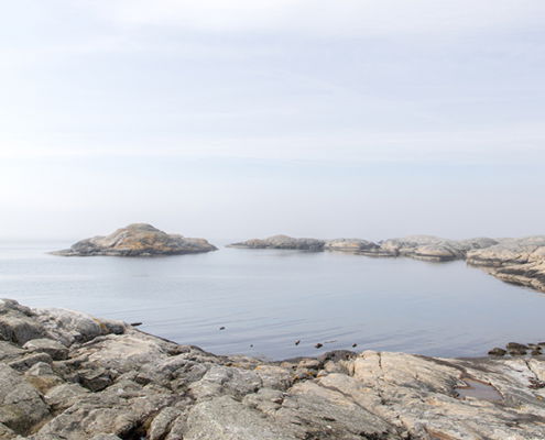 Fotoreis Bohuslan-Zweden - ©Diddy van Veldhuizen