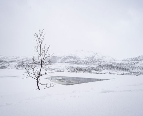 Fotoreis Senja - Noorwegen - ©Jose Gieskes